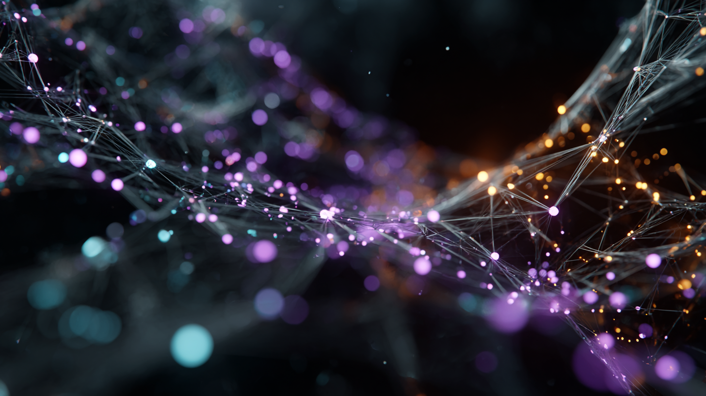 SchemaReports — 12-phase SEO audit infrastructure